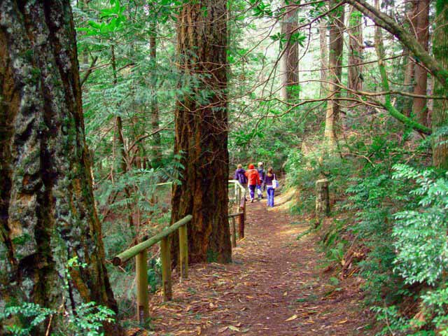 trail_2 trail_2